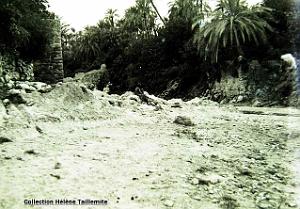 Images d'Algerie 242d